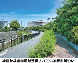 緑豊かな遊歩道が整備されている春木川沿い
