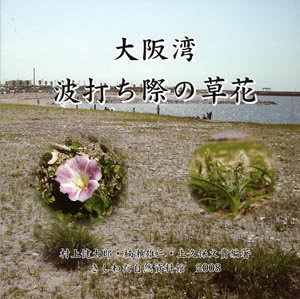 大阪湾　波打ち際の草花