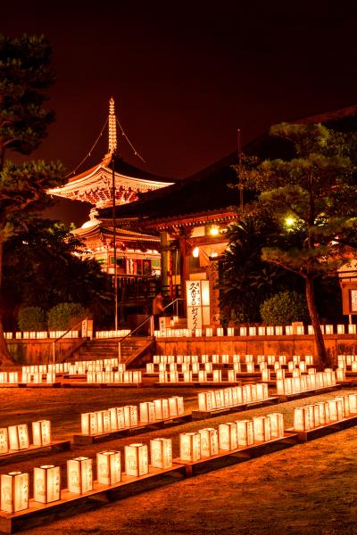 久米田寺の夜景（灯ろう会の様子）