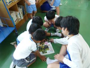幼稚園児が、中学生に本を読んでもらっています