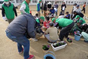 東光小学校の園芸委員の子どもたちと岸和田駅東地区景観まちづくり協議会の人たちで花の植え付けを行っています。岸和田テレビの撮影も行われています。