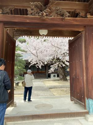 円成寺さんの扉が開かれています