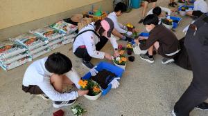 旭小学校の児童が花苗をバスケットに植えている様子