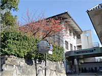 岸和田市立図書館（本館）の写真