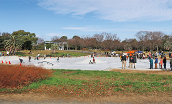 岸和田スケートパーク