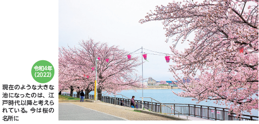 令和4年（2022）現在のような大きな池になったのは、江戸時代以降と考えられている。今は桜の名所に