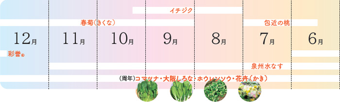 収穫時期カレンダー　6月～12月旬の野菜