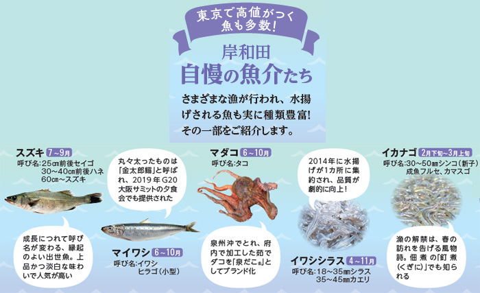 東京で高値がつく魚も多数！岸和田自慢の魚介たち さまざまな漁が行われ、水揚
げされる魚も実に種類豊富！その一部をご紹介します。イカナゴ、イワシシラス、マダコ、マイワシ、スズキ