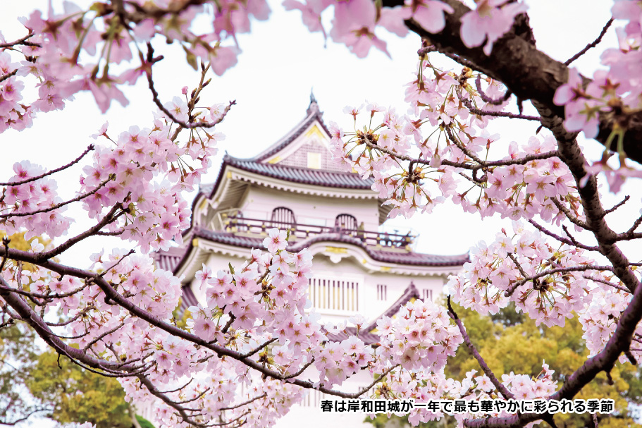 お城まつりの画像1　春は岸和田城が一年で最も華やかに彩られる季節