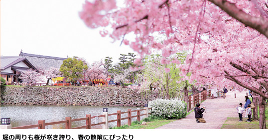 お城まつりの画像2　堀の周りも桜が咲き誇り、春の散策にぴったり