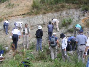 大阪層群の化石採集