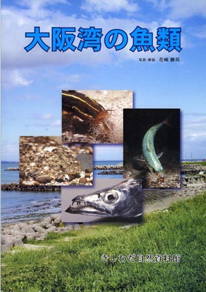 大阪湾の魚類