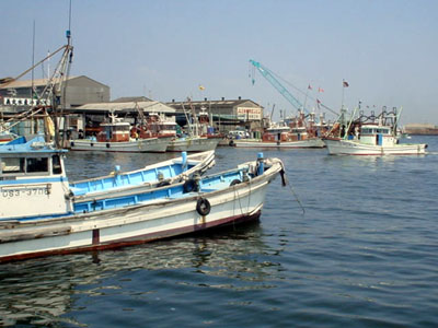 岸和田漁港の写真