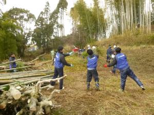 伐採竹の運搬
