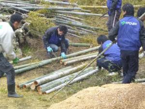 伐採竹の整理