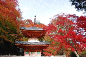 紅葉の大威徳寺の写真