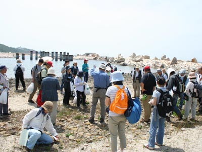 人工礫浜で観察する参加者たち
