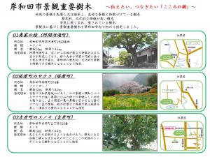 岸和田市景観重要樹木説明資料