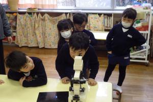 東葛城幼稚園児が顕微鏡を観察する様子