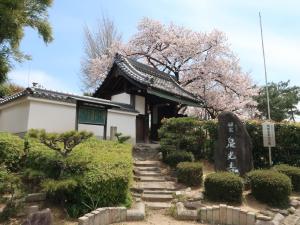 泉光寺と桜