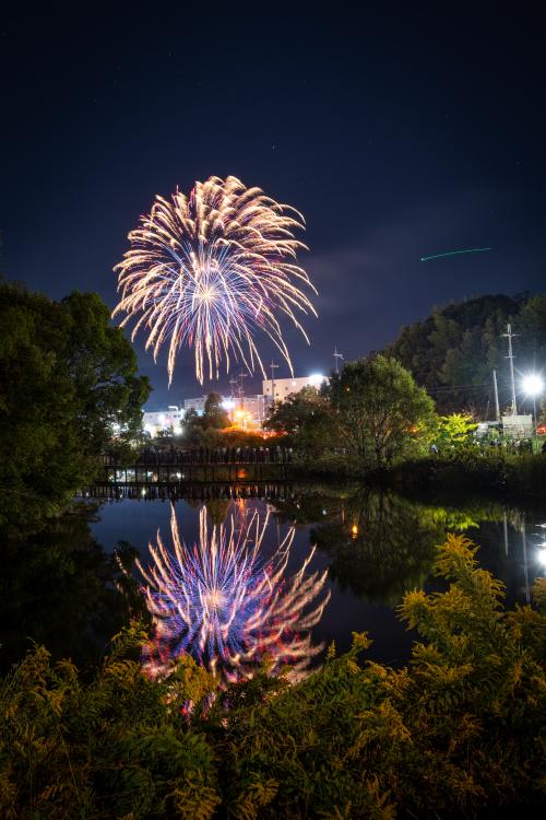 蜻蛉池公園での花火の写真