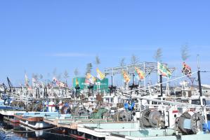 岸和田漁港の大漁旗の写真
