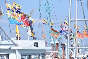 岸和田漁港の大漁旗の写真