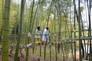 竹の回廊を歩く女の子2人