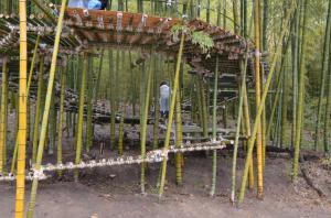 竹の回廊