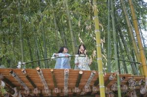 竹の展望台にいてる女の子