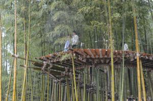 竹の展望台にいる男性