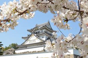 桜の花越しに見える岸和田城