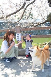 桜の木の下で写る小さい男の子と柴犬