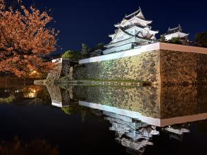 夜の岸和田城と桜