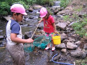 幼稚園児があみで川の水をすくっています