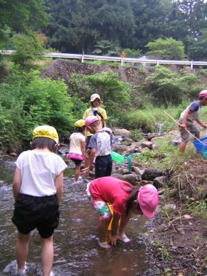 幼稚園児が川の石を持ち上げようとしています