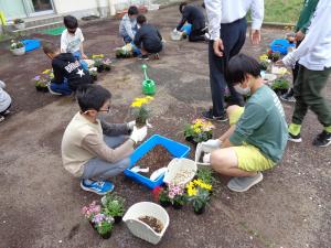 太田小学校の園芸委員がバスケットを作成している様子です