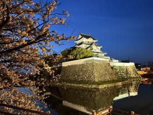 岸和田城と夜桜の写真