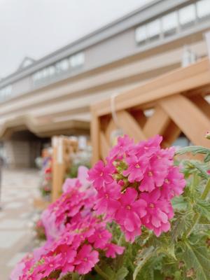 東岸和田駅をバックにお花に接近して撮影した写真です
