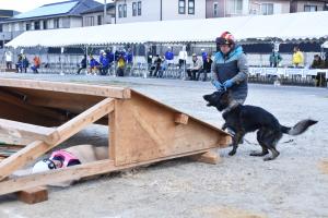 倒壊した家屋の下敷きになっている人を発見した災害救助犬のゴンゾウ