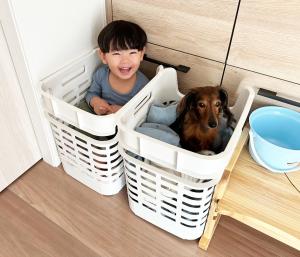 洗濯カゴに入っている子どもと犬の写真